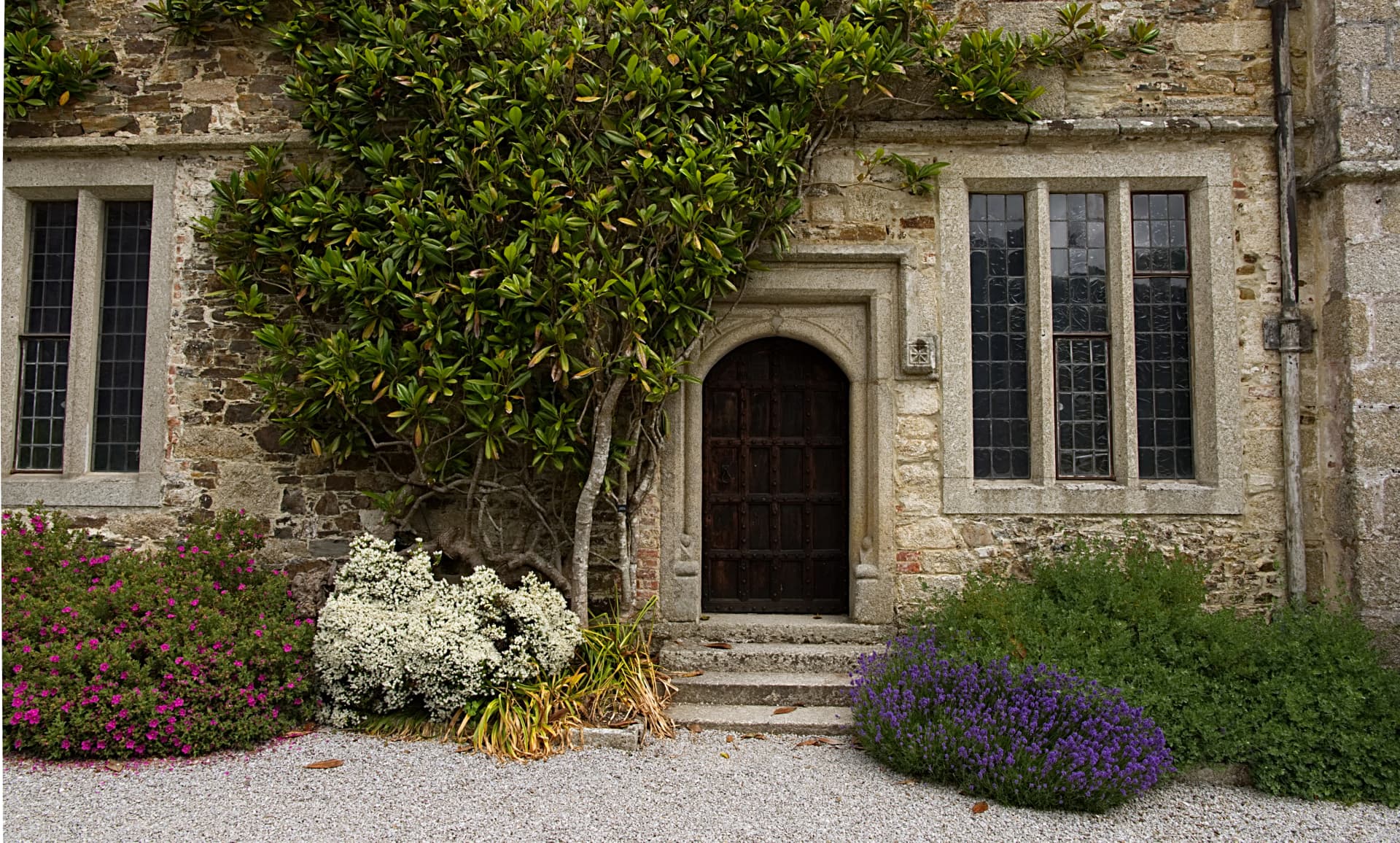 Old buildings back door surrounded by plants