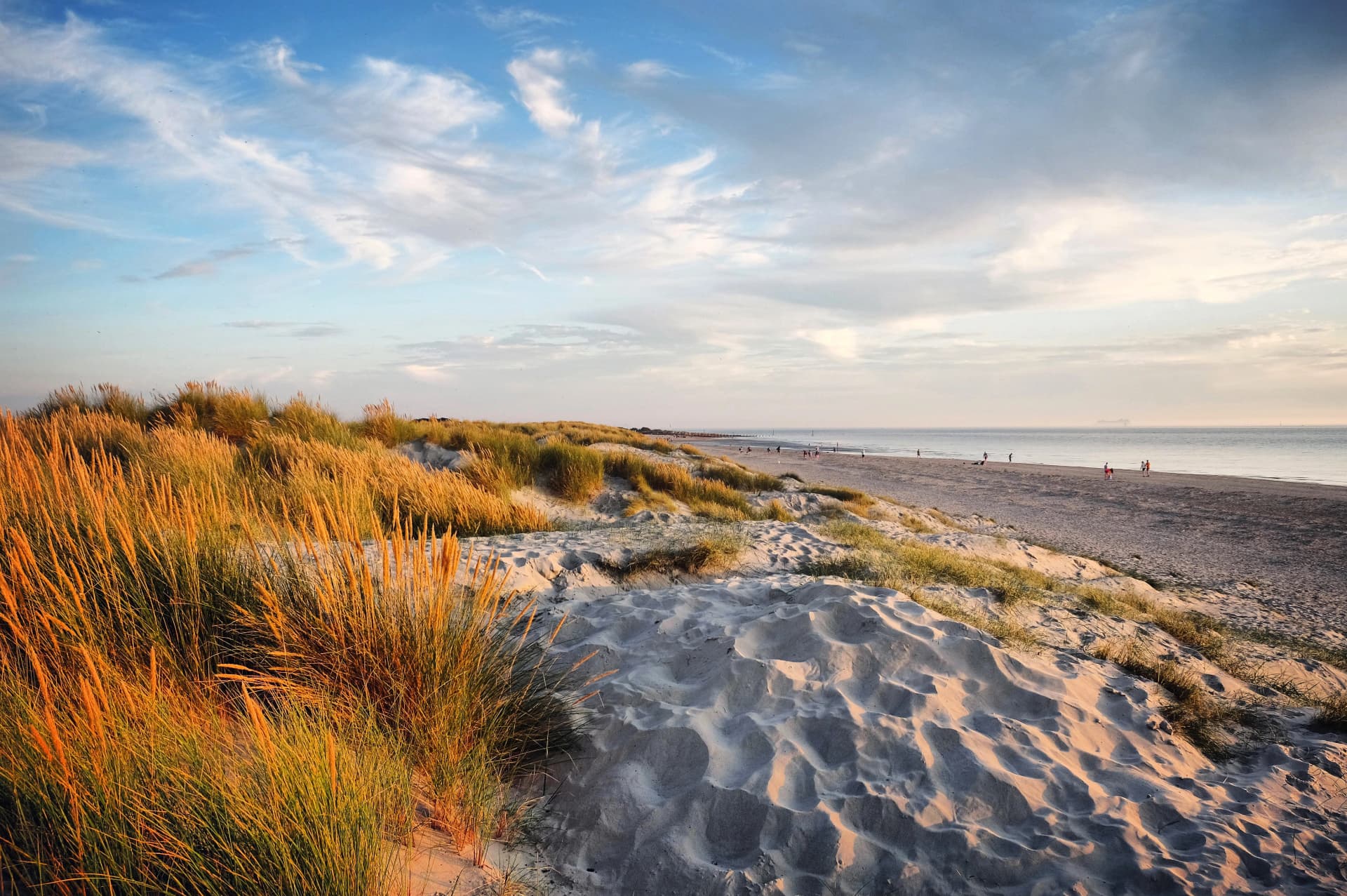 The sand dunes at West Wittering beach, West Sussex, UK