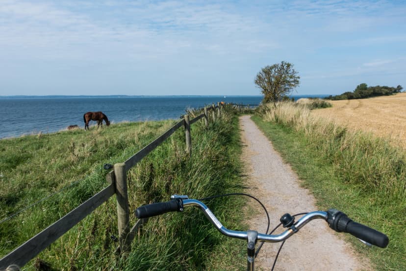 Point of view (POV) ciclist in ven Island, Sweden