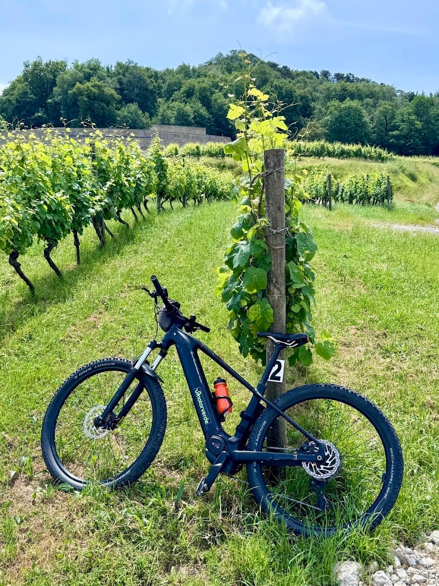 Electric mountain bike parked in a vineyard next to a wooden post