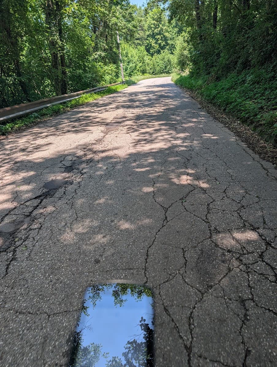 Cracked asphalt road winding through a green forest with tree shadows