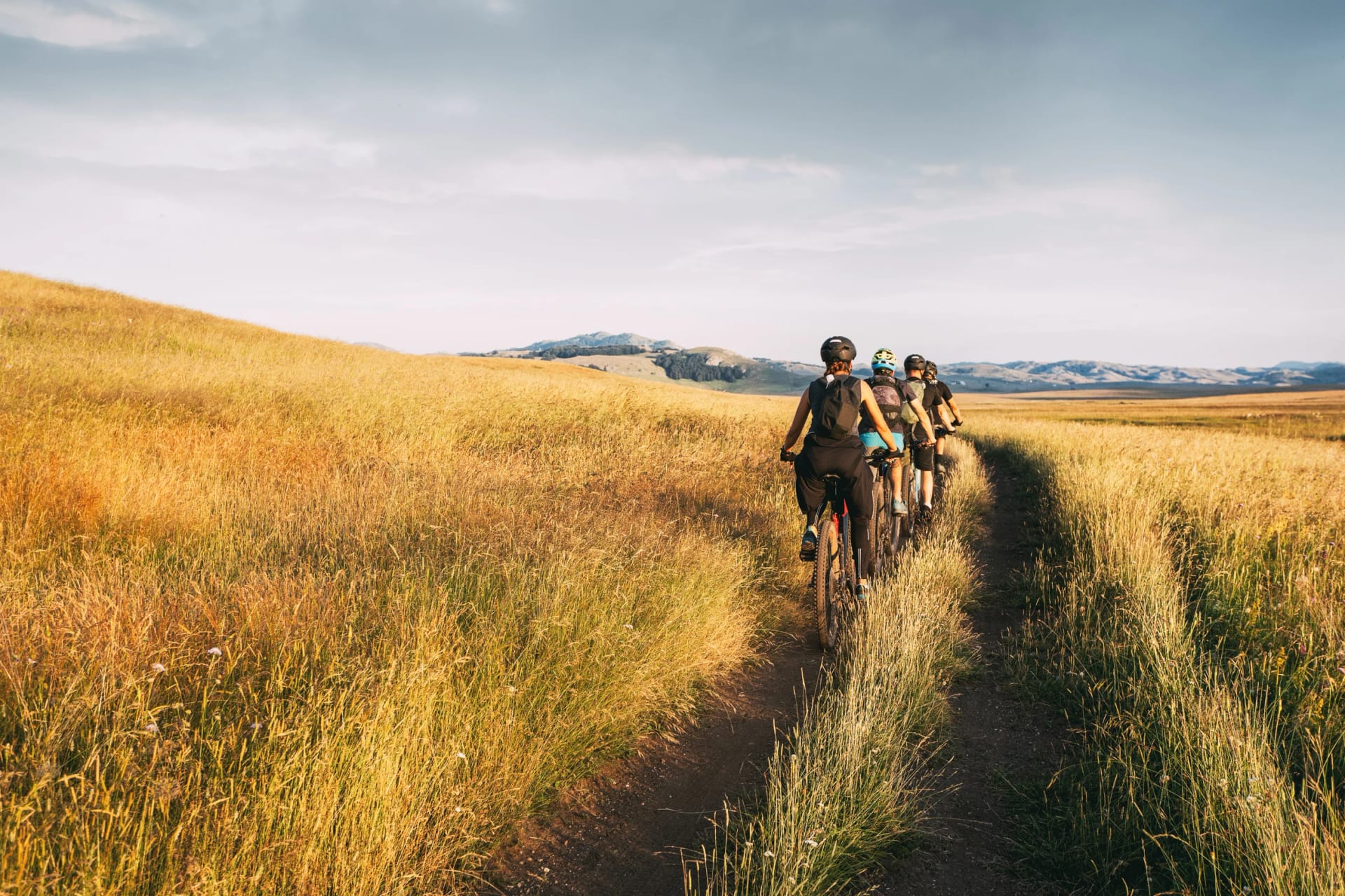 Mountain bikers riding mountain bikes on mountain trail