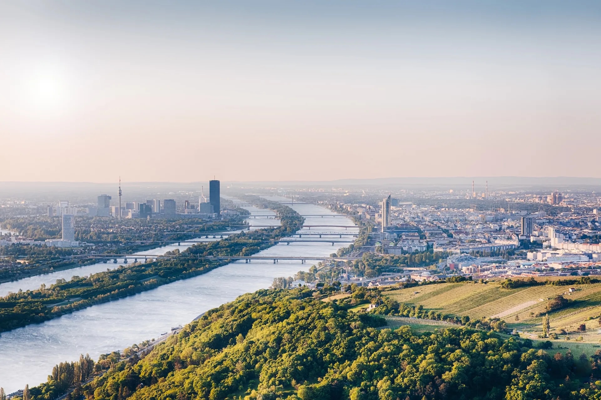 Aerial view of Vienna cityscape with the Danube River and bridges, seen over green hills.