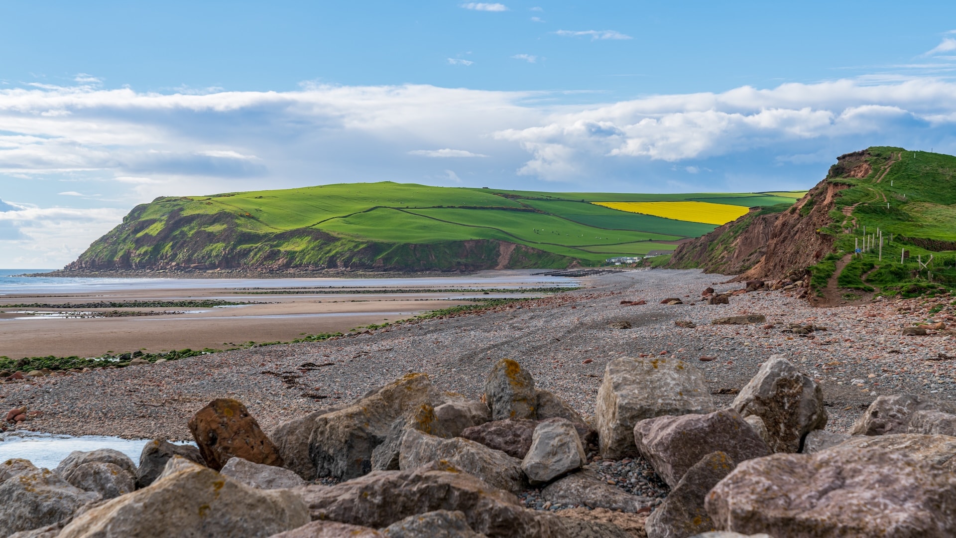 Rocky beach foreground with green coastal cliffs and yellow fields under a blue sky at Whitehaven.