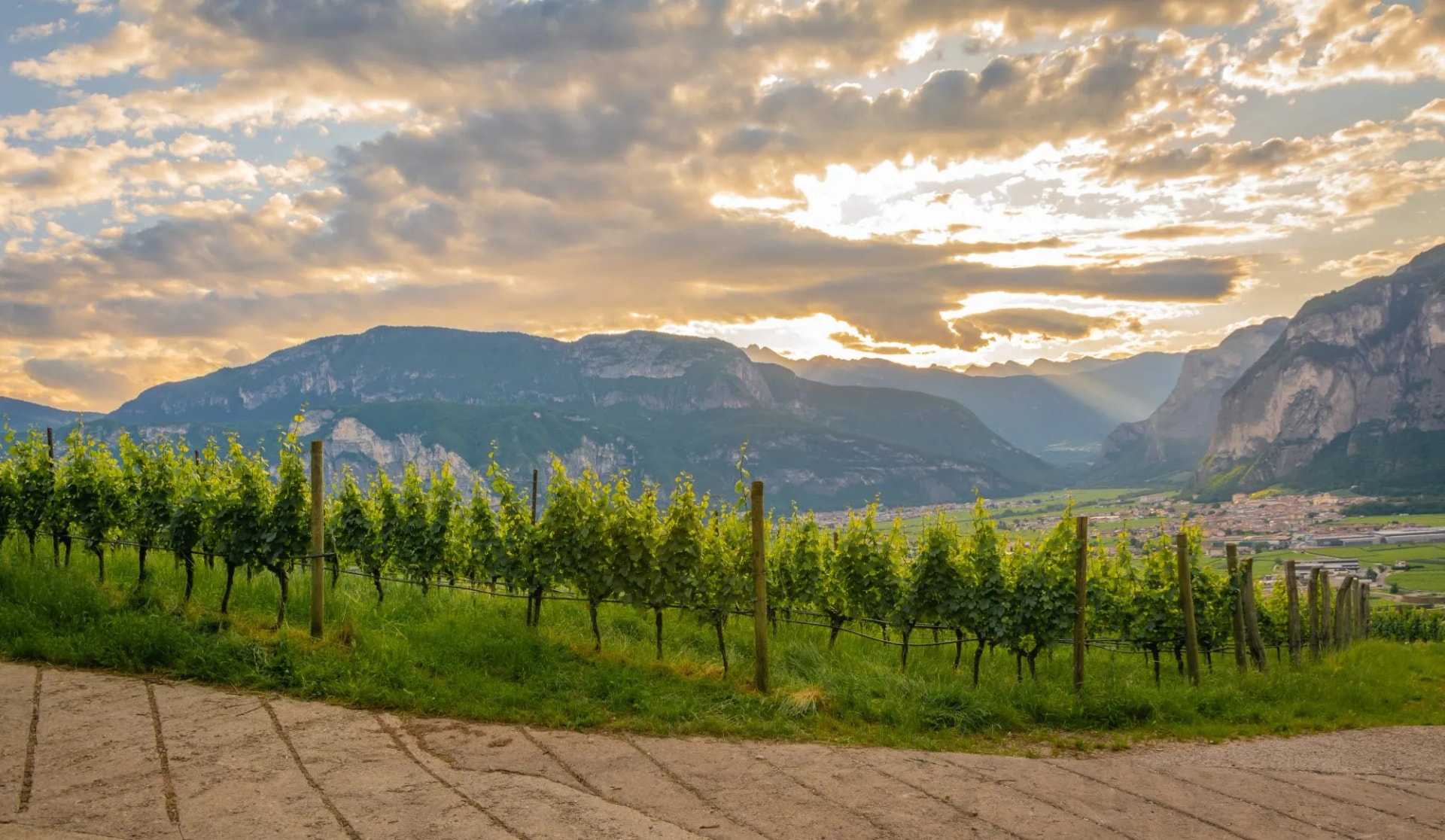 South tyrolean wine road