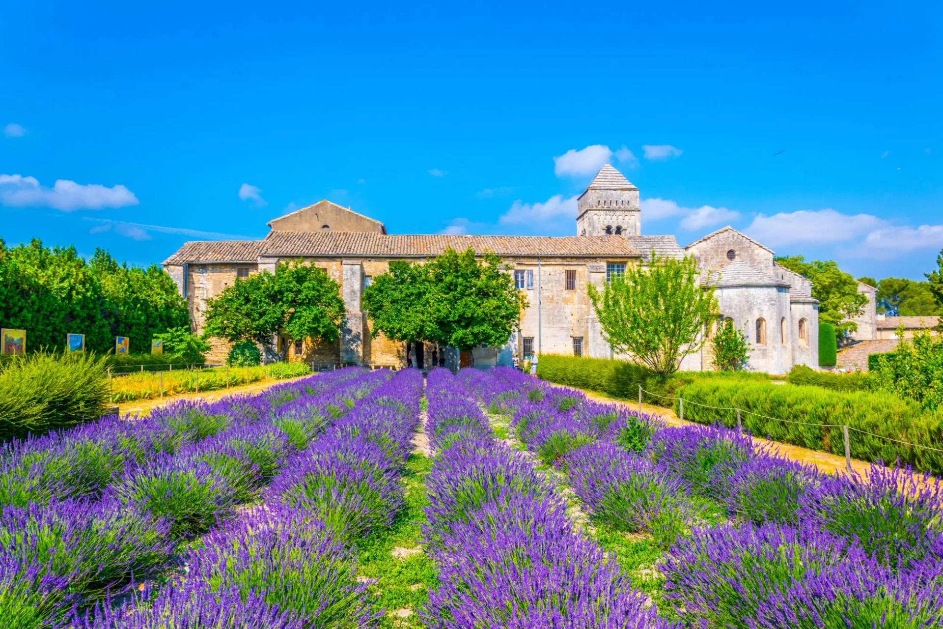 Lavender field in bloom in front of Saint-Paul-de-Mausole monastery under a blue sky.