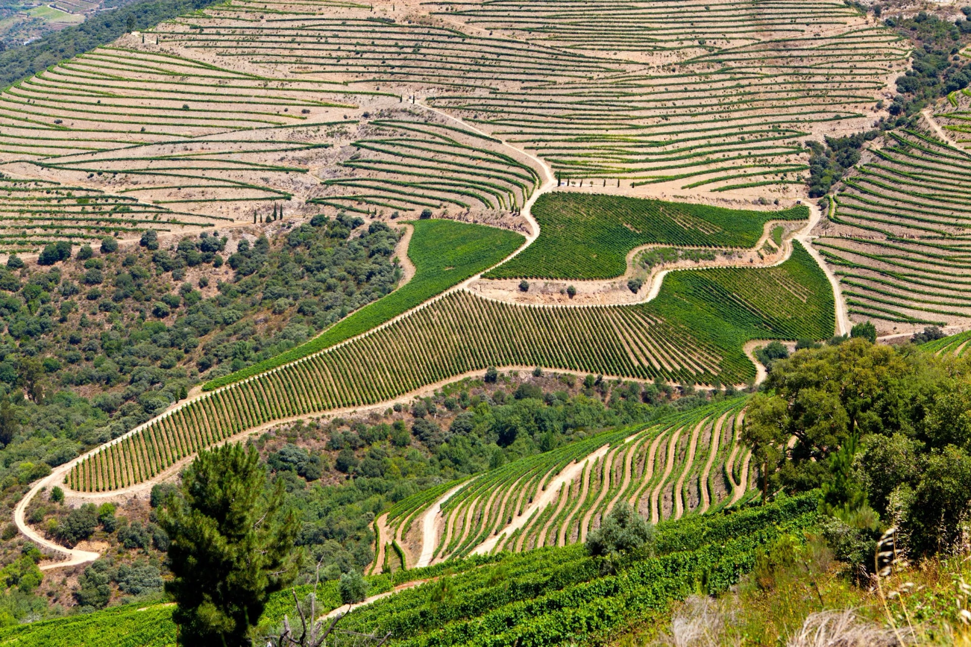 Douro Valley