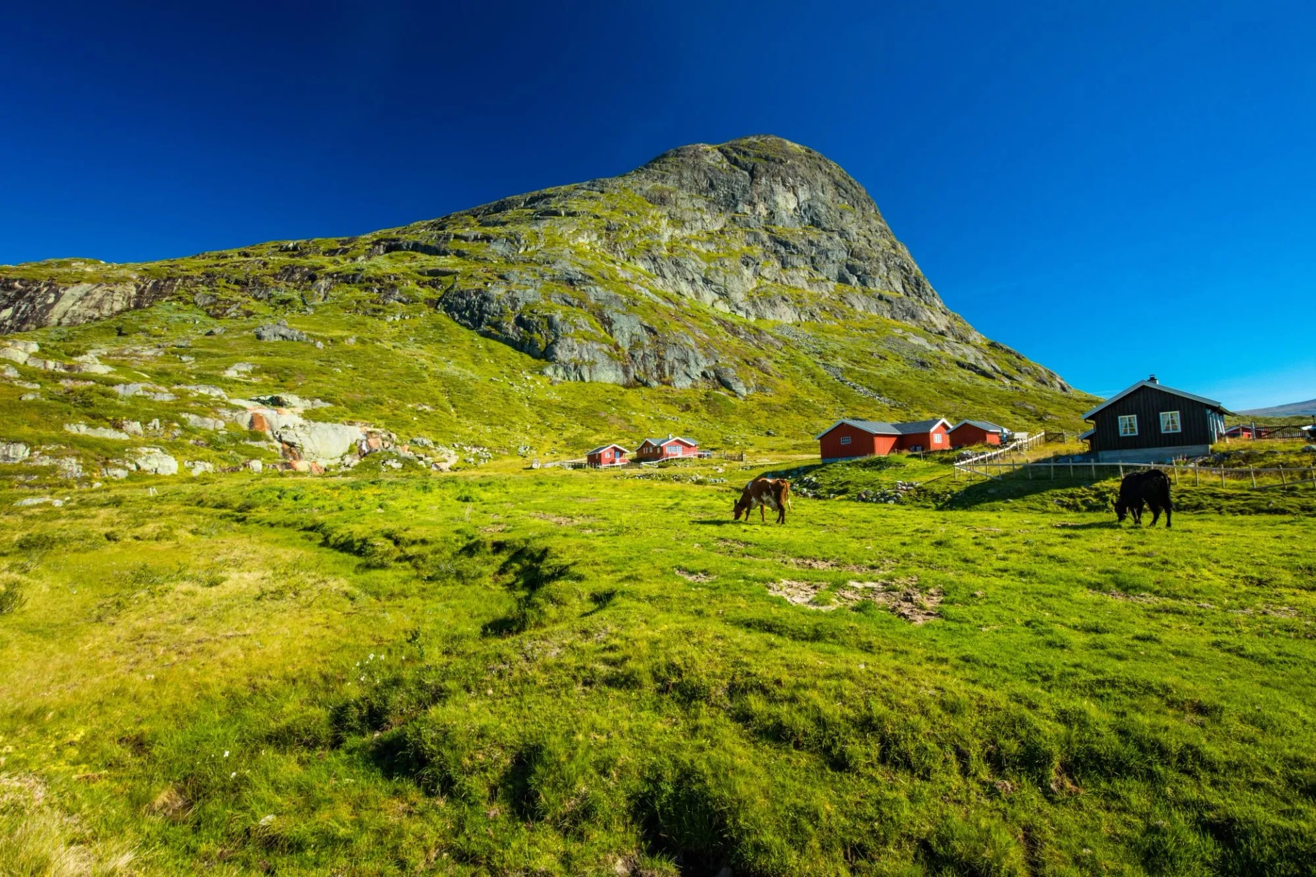 Synshorn Mountain