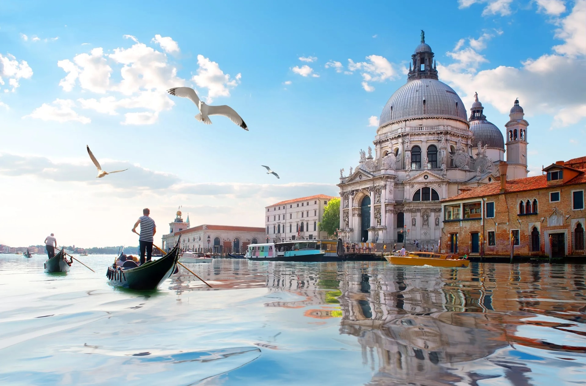 Gondoliers rowing past Santa Maria della Salute on the Grand Canal in Venice.