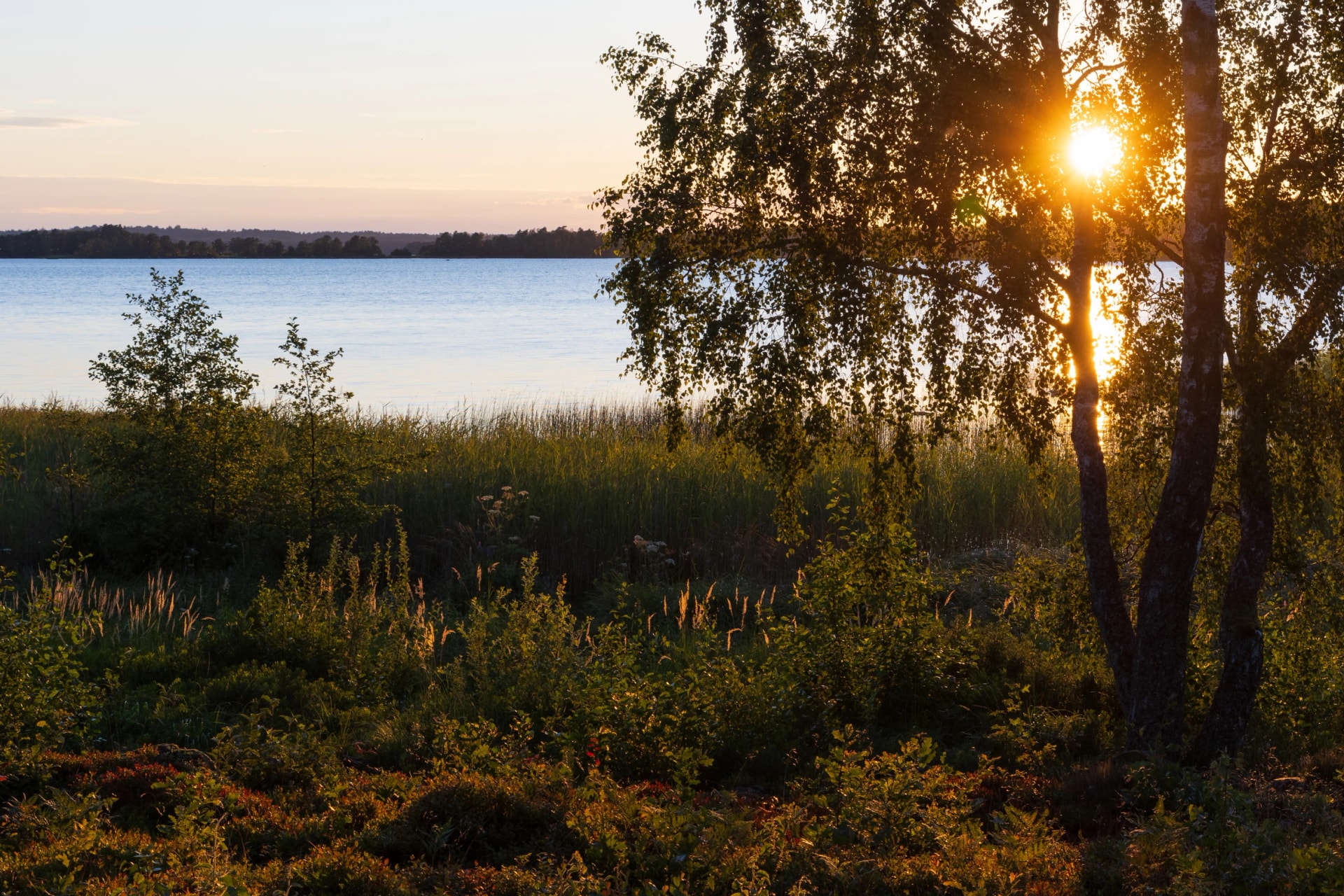 Sydostleden Cykeltur