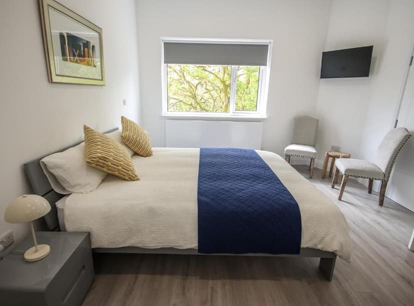 Modern bedroom with white walls, double bed, window view of green trees, and wall-mounted TV.