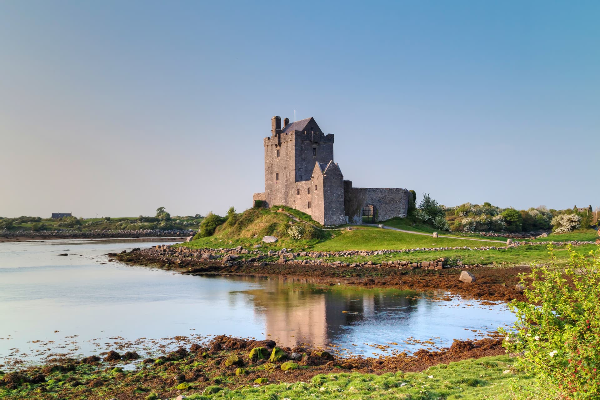 Dunguaire Castle on a grassy mound reflected in calm water under a clear blue sky.