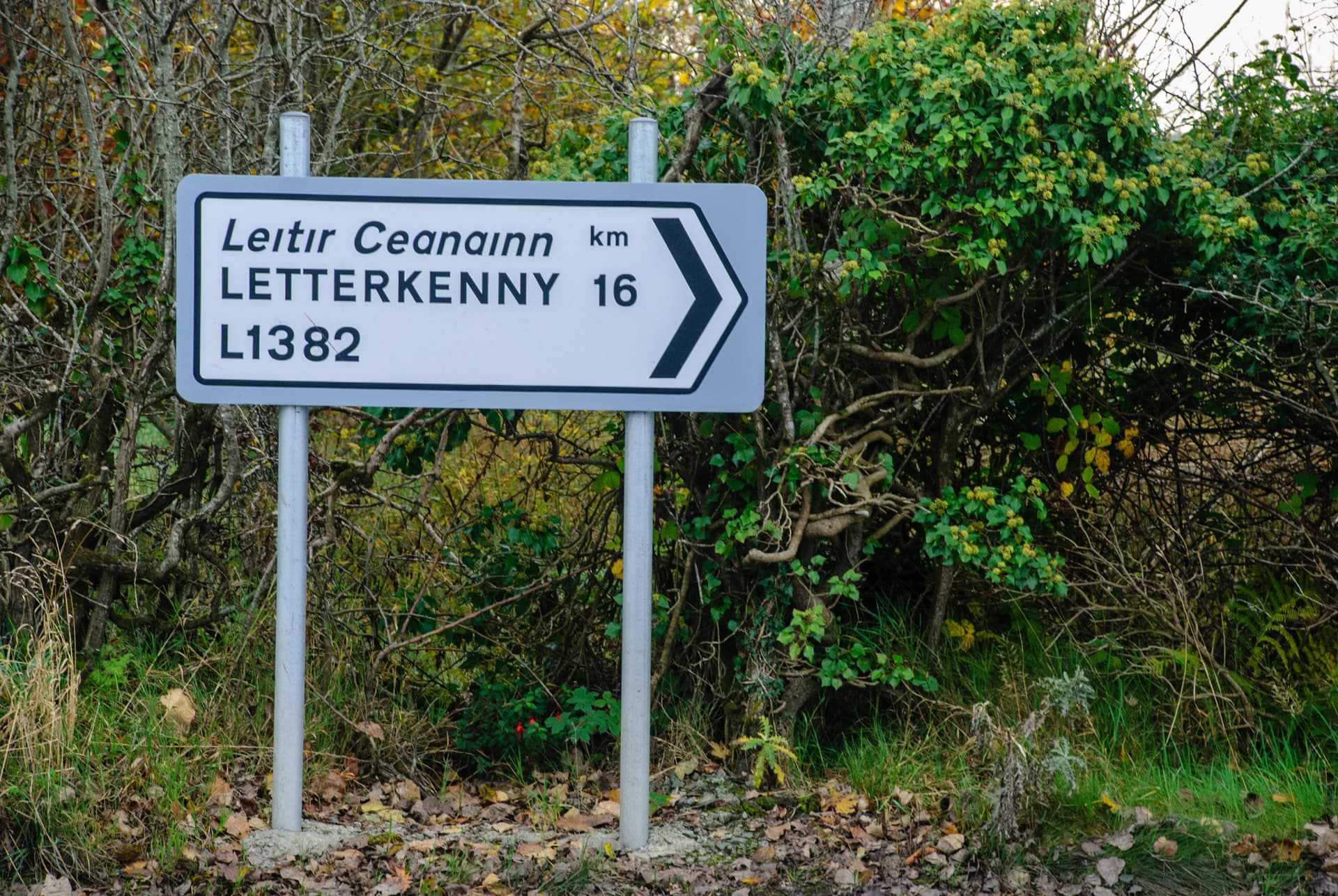 Road sign pointing to Letterkenny 16 km, set against dense green and brown autumn foliage.