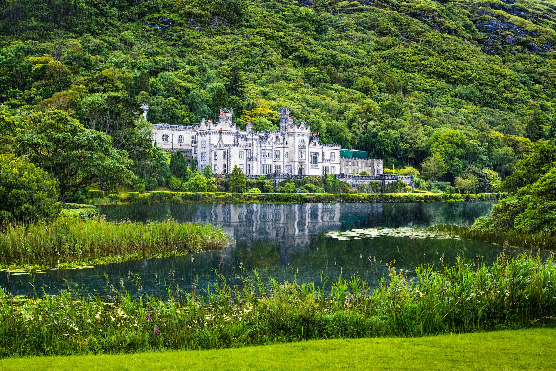 Kylemore Abbey reflected in dark water surrounded by lush green mountains and foreground reeds
