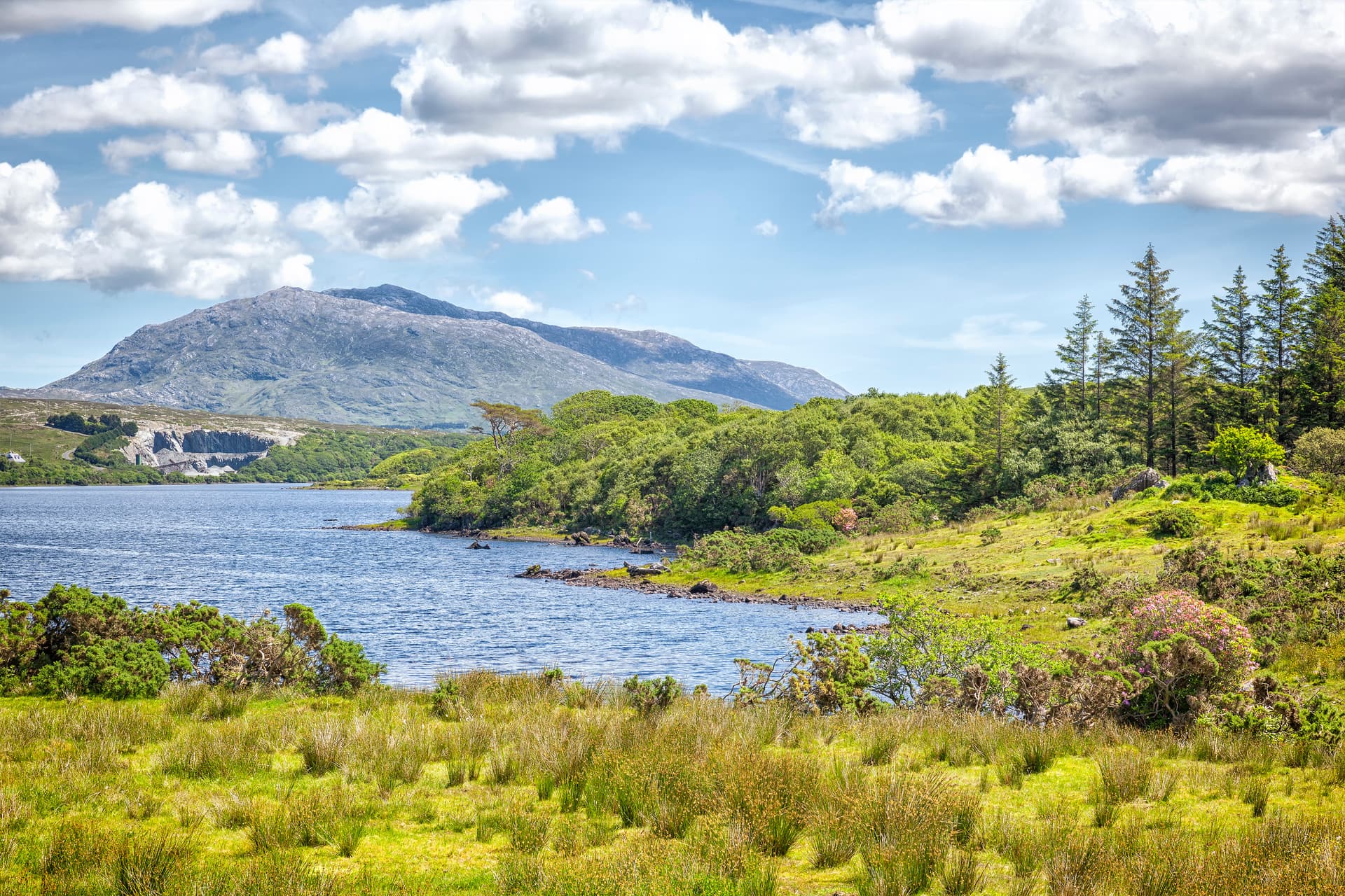 Lough Corrib with mountains, lush green foreground, and blue sky with white clouds
