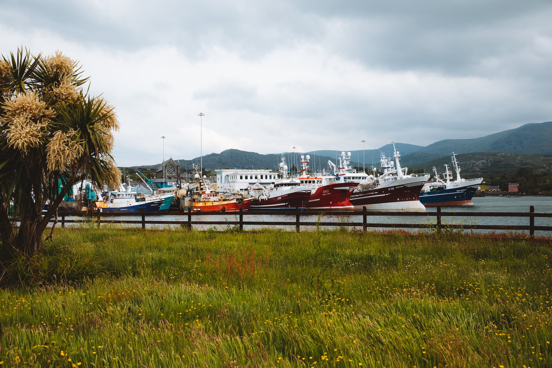 Fishing boats docked in Castletownbere harbor with green field and mountains in background.