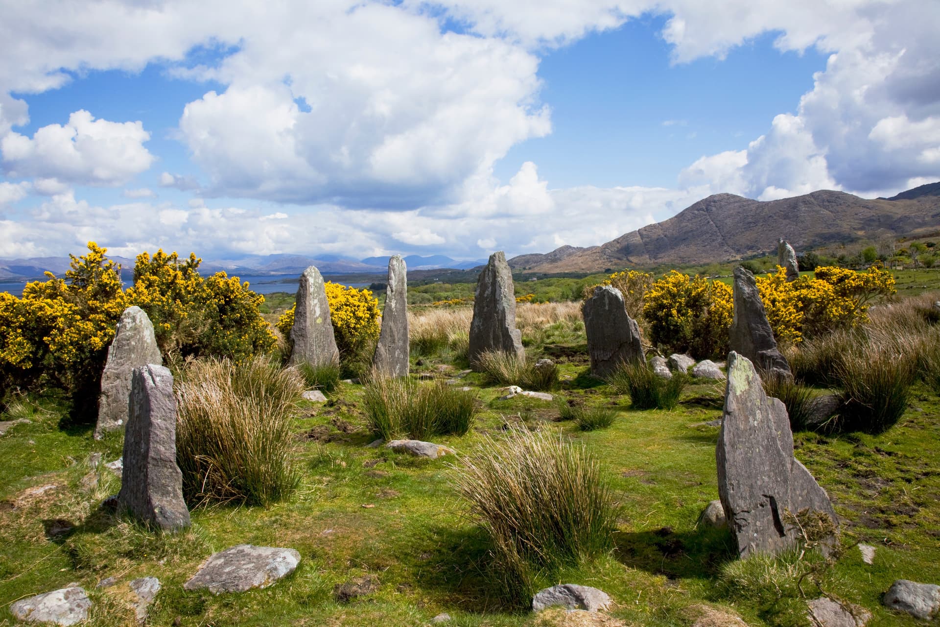 Ardgroom stone circle with yellow gorse bushes, mountains, and blue sky with clouds.