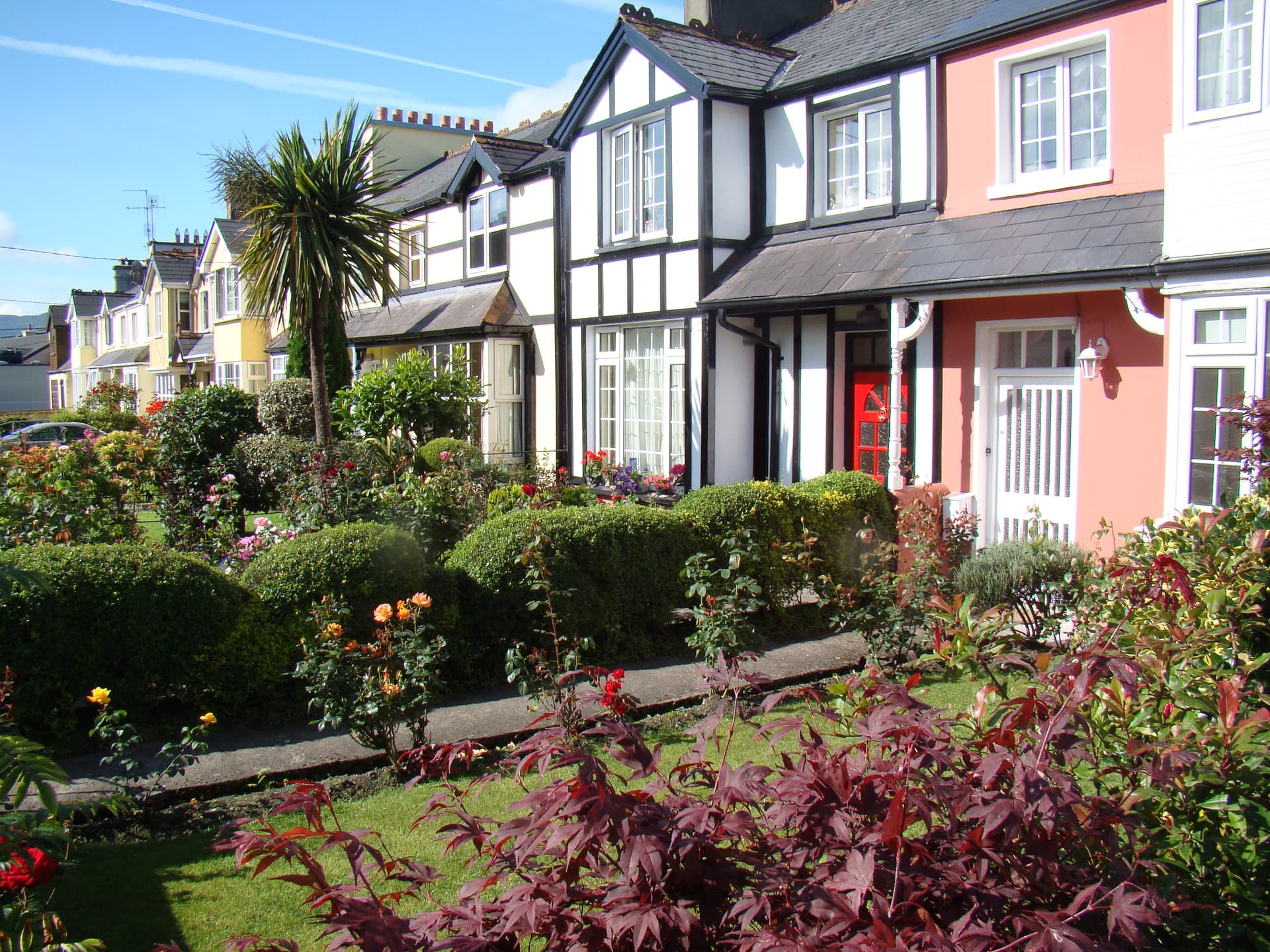 Row of colorful houses with well-kept gardens and manicured hedges in Killarney.