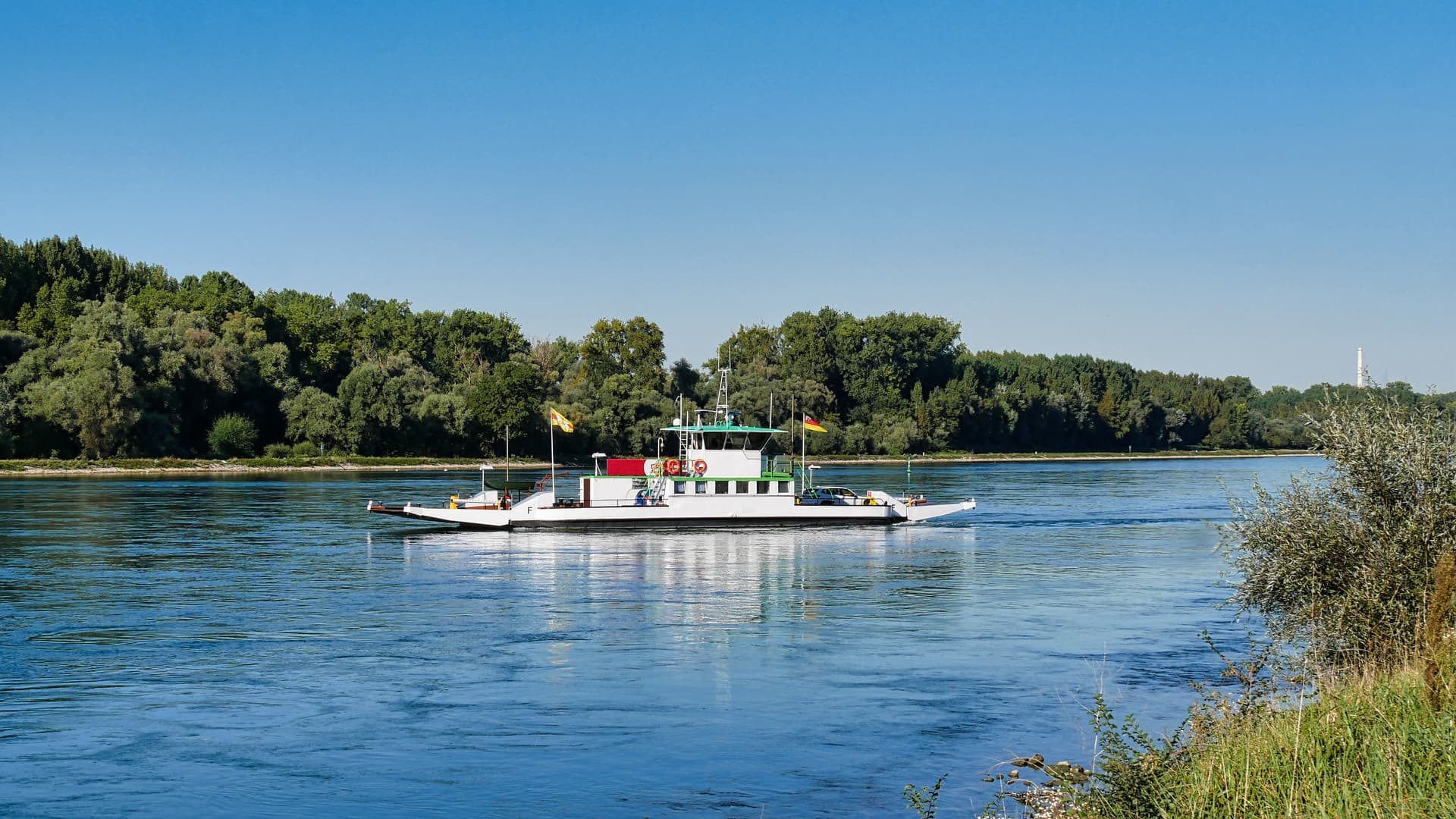 White car ferry crossing wide river with forested banks under clear blue sky.
