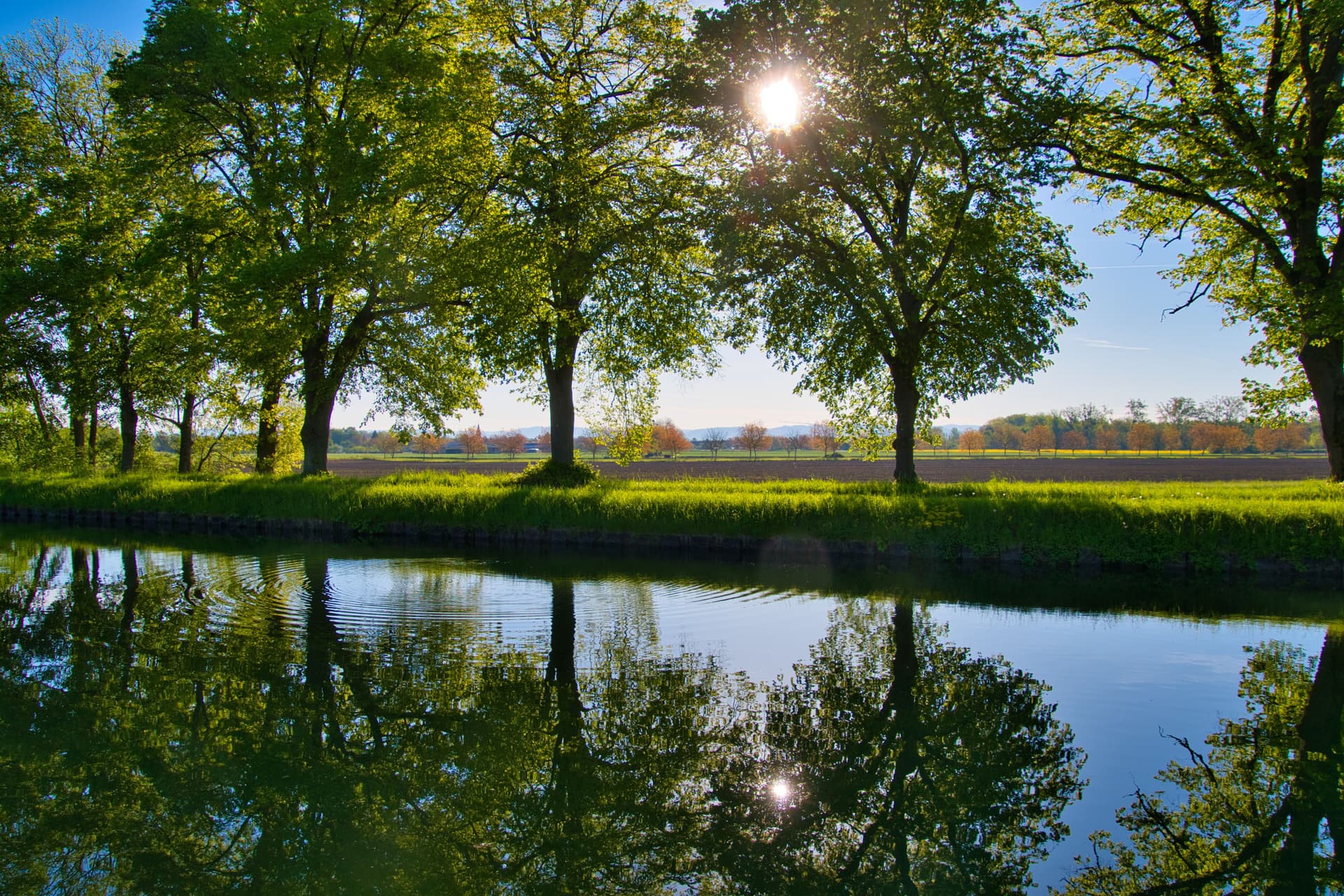 Trees line a canal bank with bright sun reflecting on the water's surface.