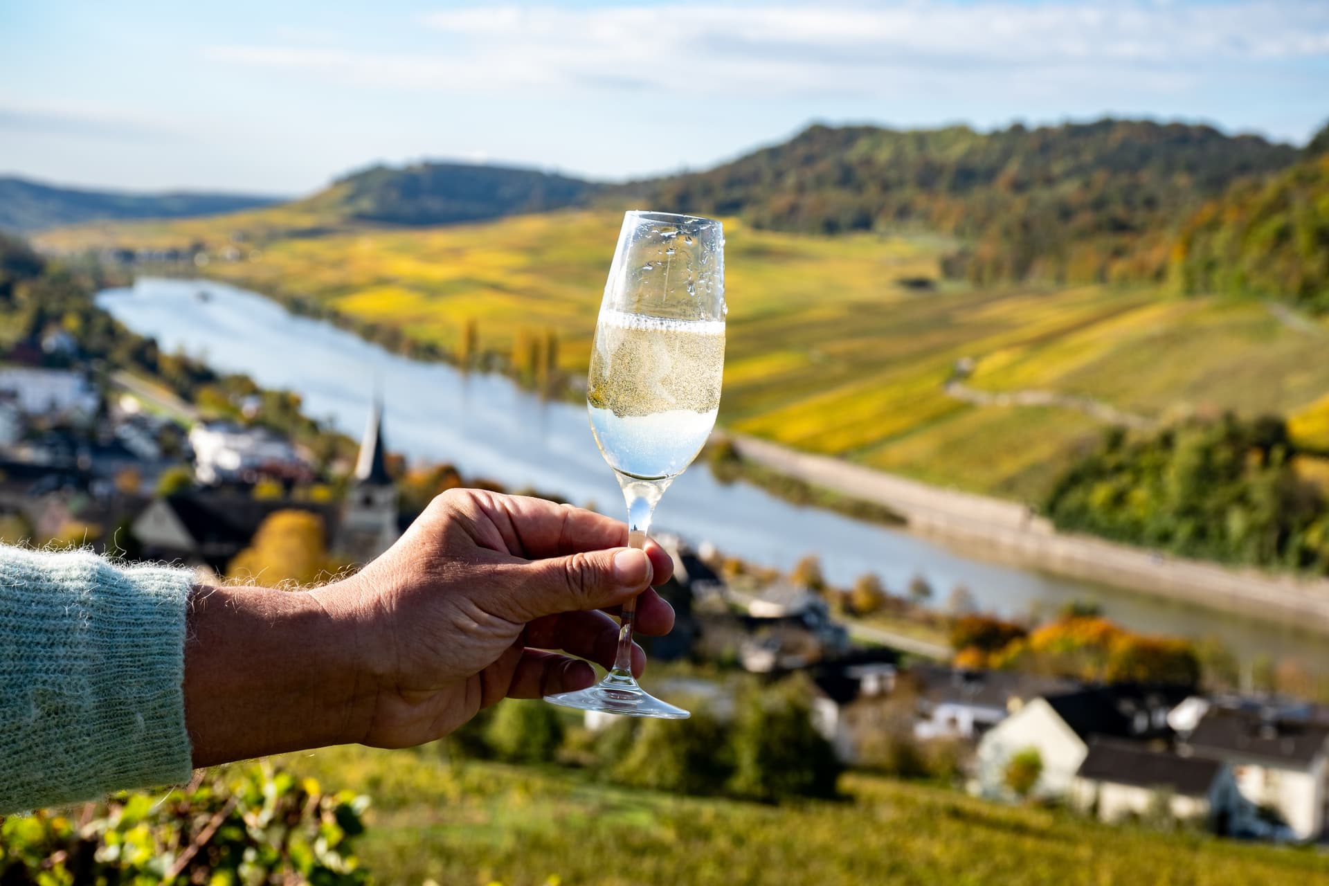 Wine tasting with sparkling wine overlooking Moselle river valley and vineyards in autumn.