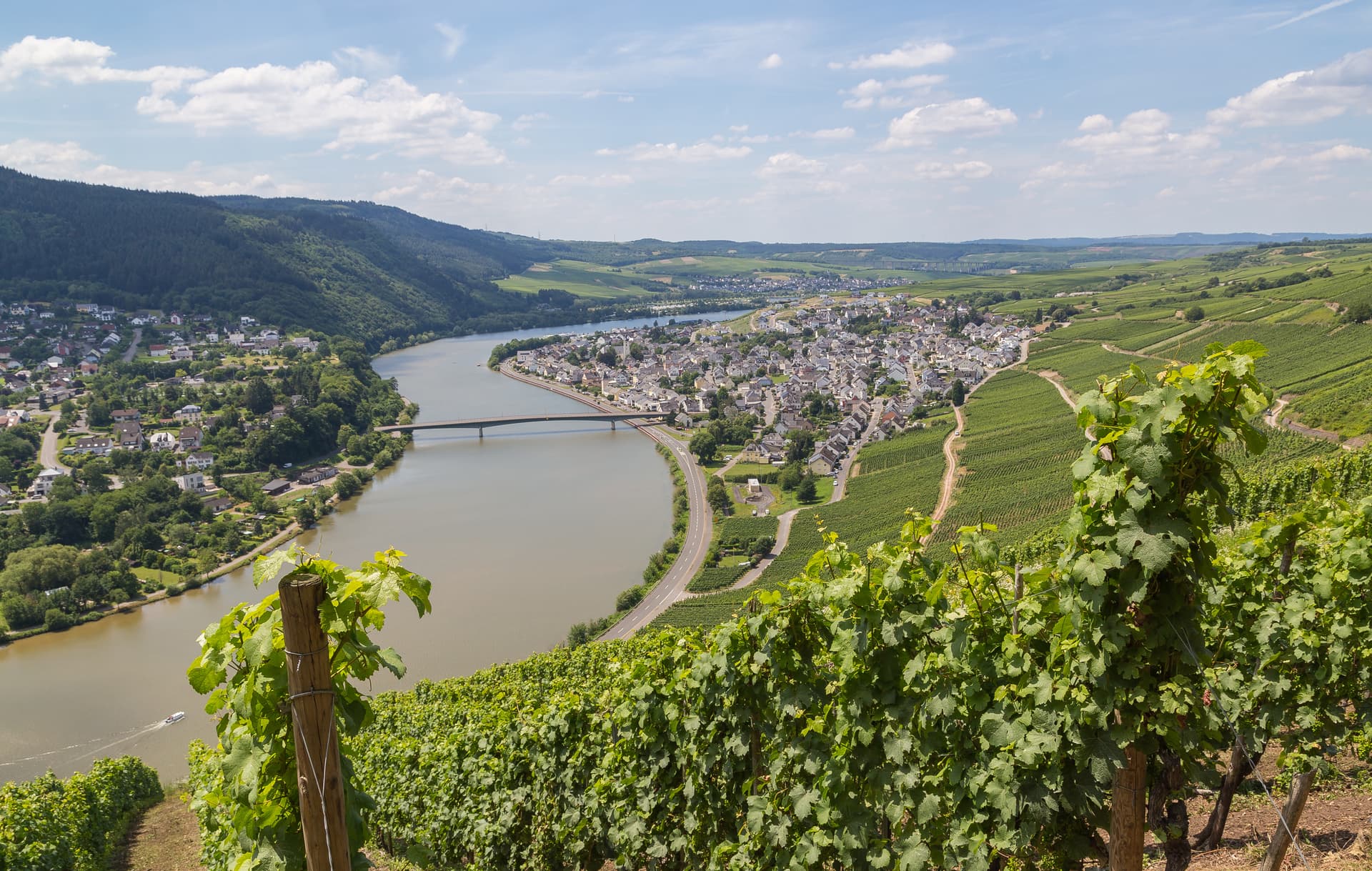 Vineyard overlooking Moselle River valley with town, bridge, and boat under blue sky.