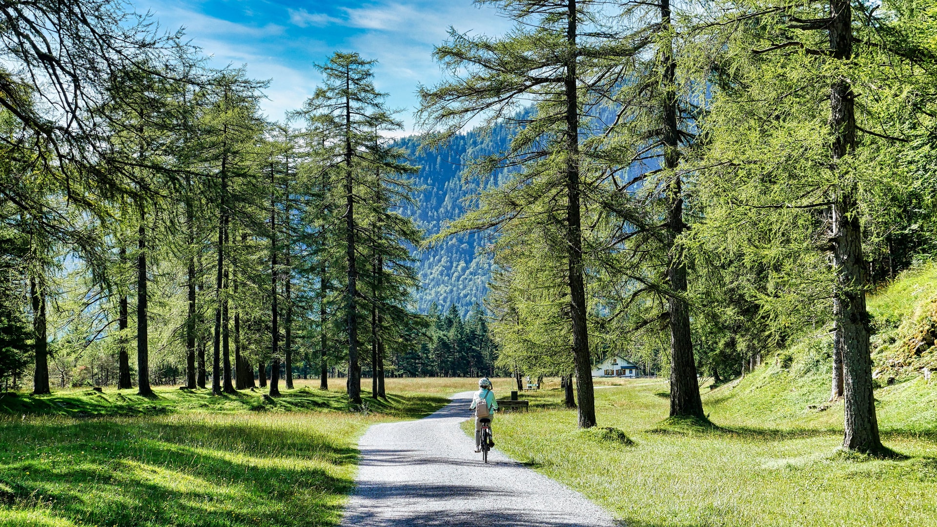Cycling on gravel path through sunlit forest toward mountains in Oberbayern.