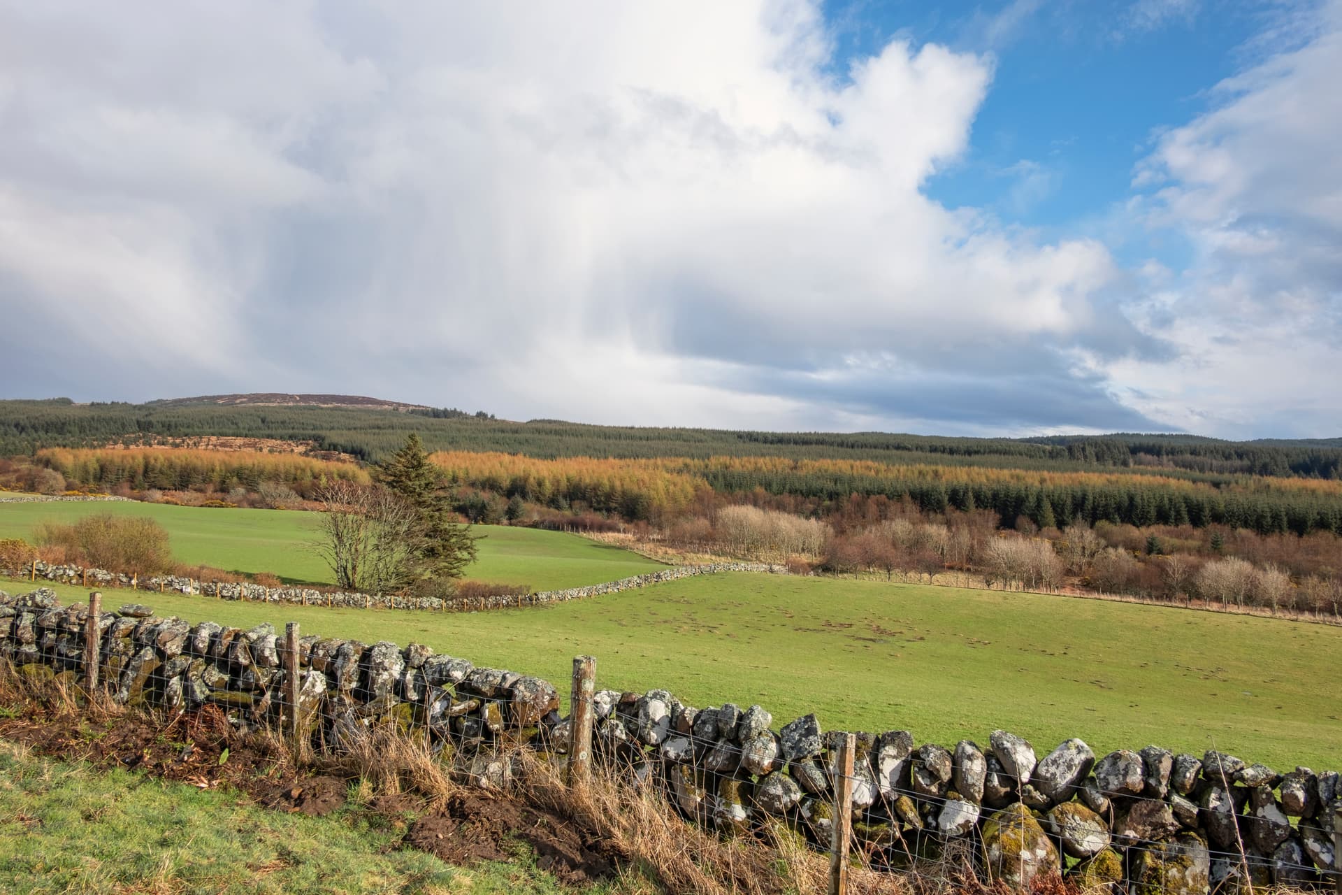 Green rolling fields separated by a dry stone wall with forested hills under a dramatic sky.
