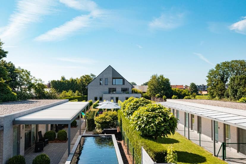 Modern resort courtyard with long swimming pool, manicured hedges, and contemporary house under blue sky.