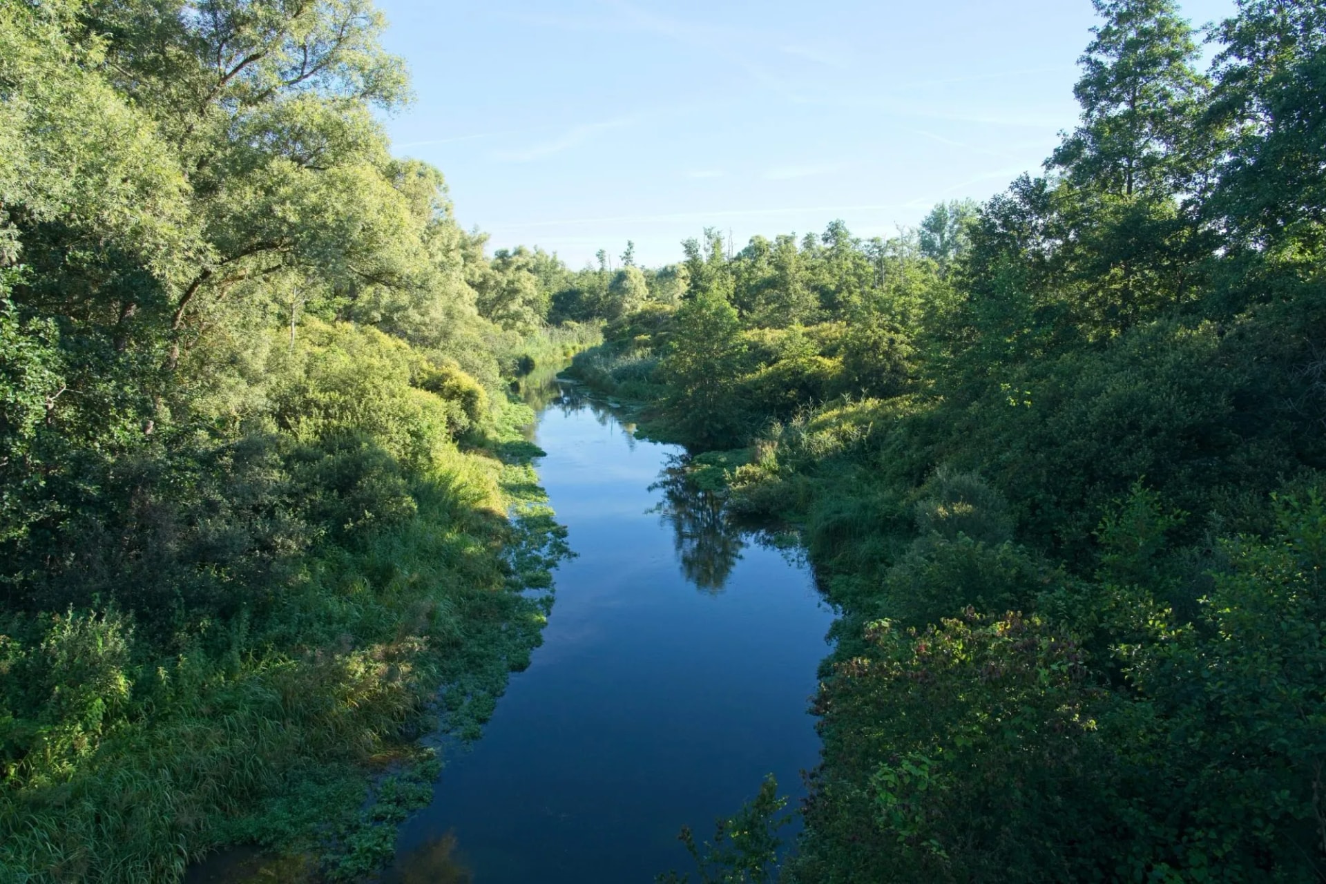 Somme River near Seraucourt-le-Grand, France, flowing through dense green summer foliage under a clear blue sky.