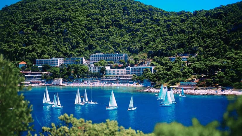 Sailboats on bright blue water near a beach resort backed by a heavily forested hill in Dubrovnik.