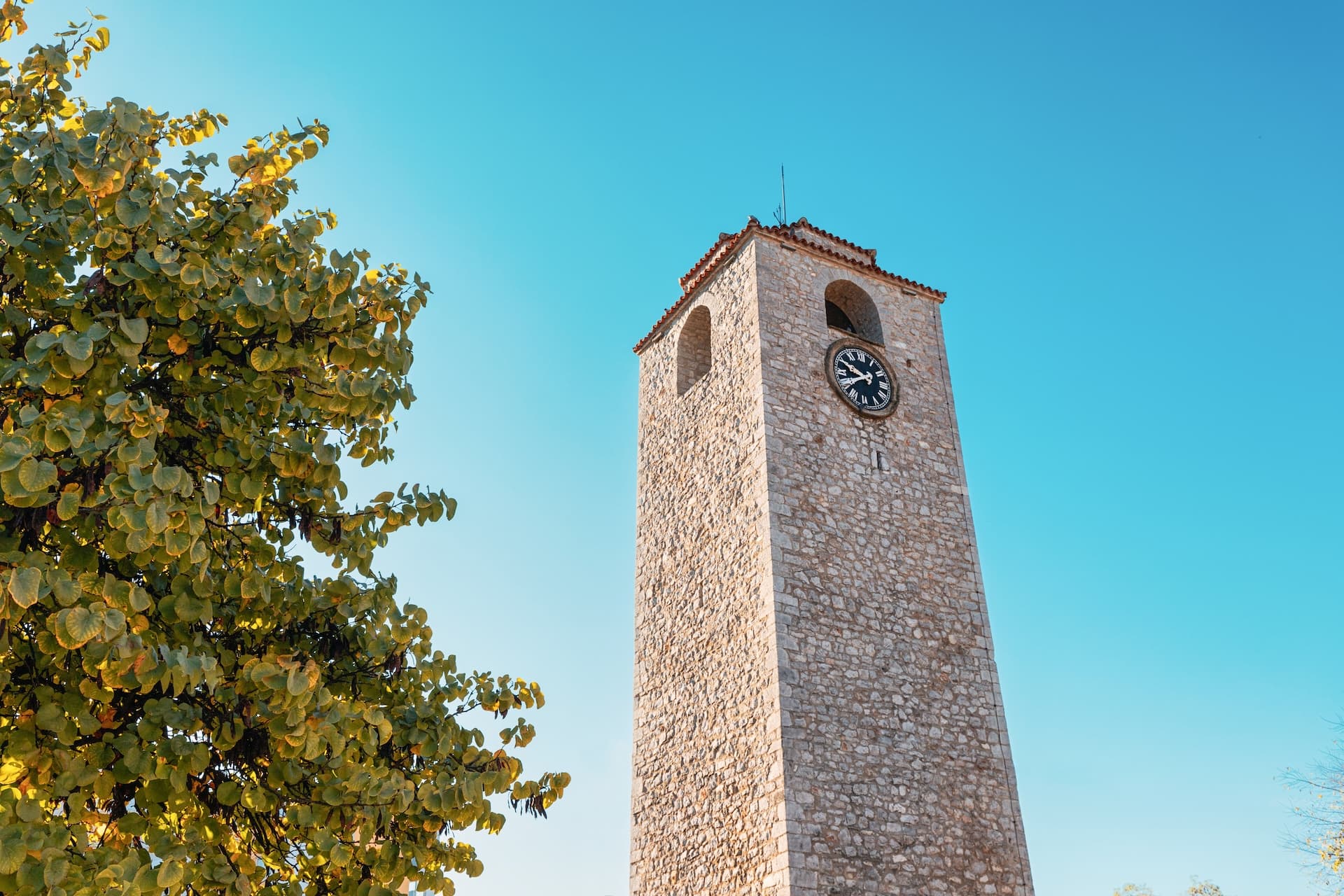Stone clock tower next to leafy tree against bright blue sky in Podgorica, Montenegro.