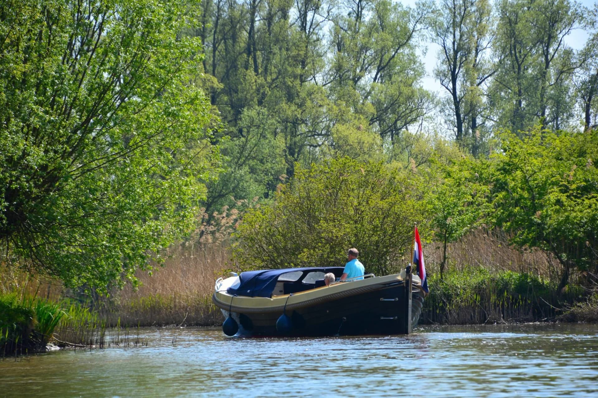 Biesbosch