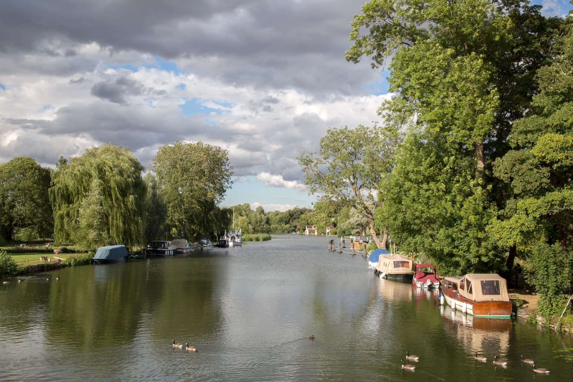 Boats moored along a river lined with lush green trees under a cloudy sky, with ducks on the water.