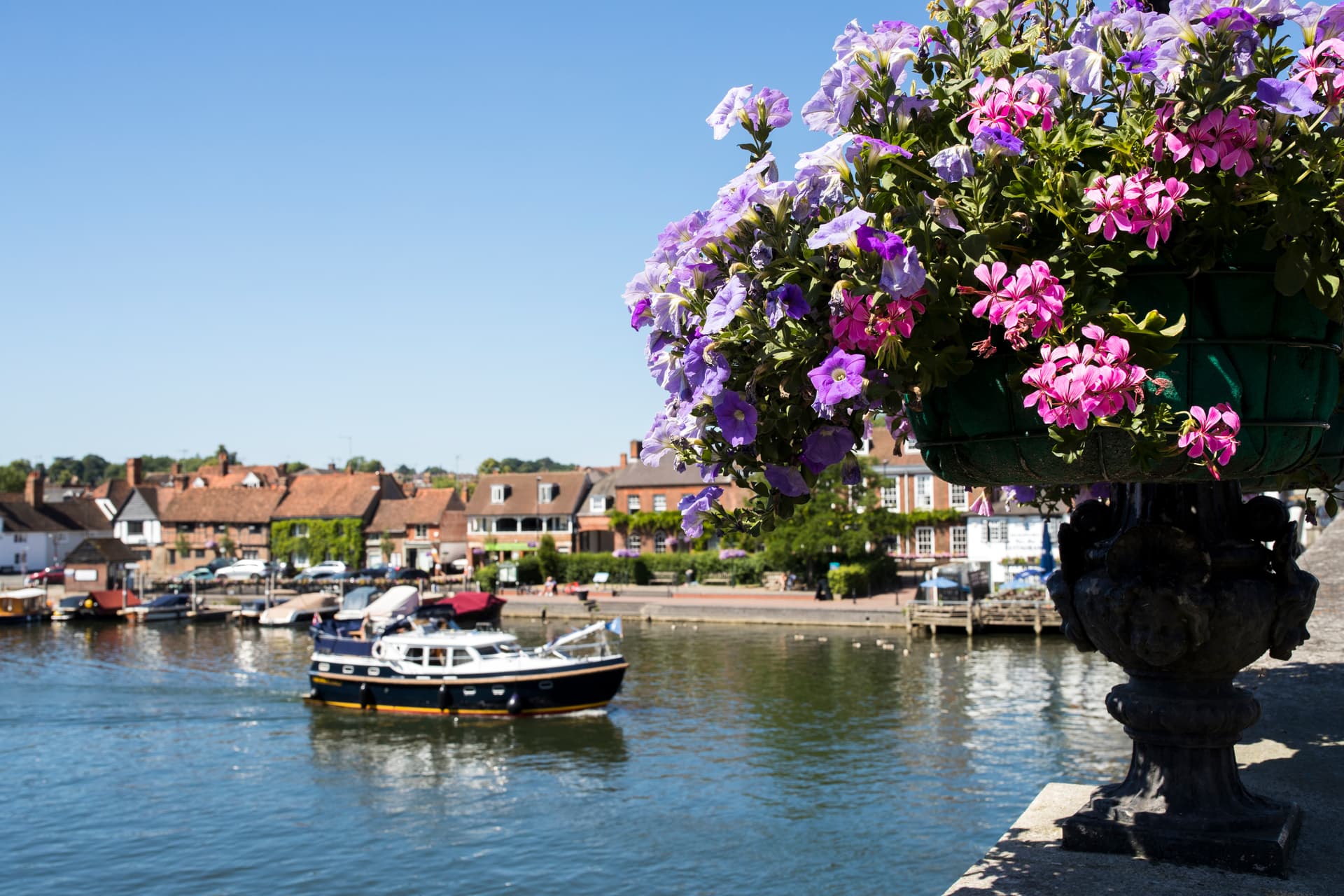 Boat on river with flowers in foreground and Henley-on-Thames buildings.