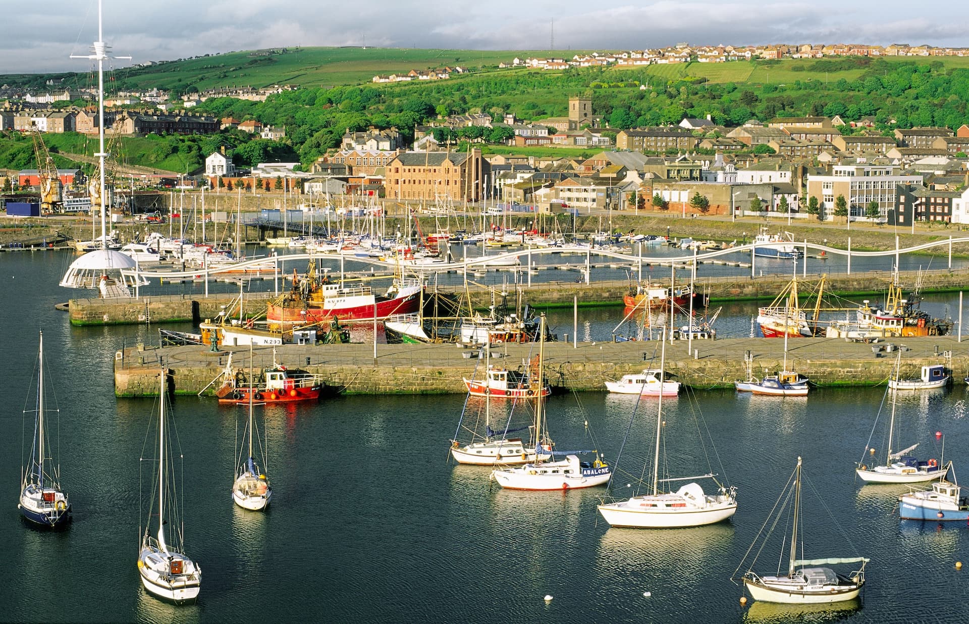 Sailboats and fishing boats moored in a harbor with a town on a green hillside in the background.