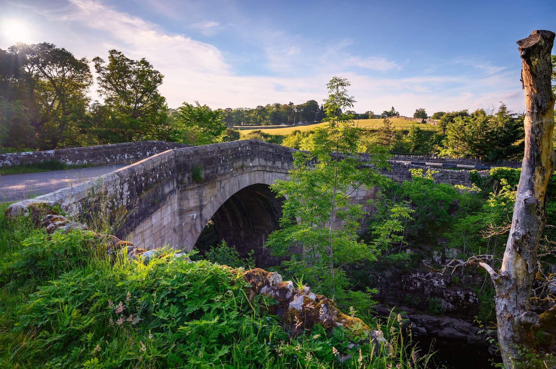 Stone arch bridge over dark water surrounded by lush green foliage under blue sky.