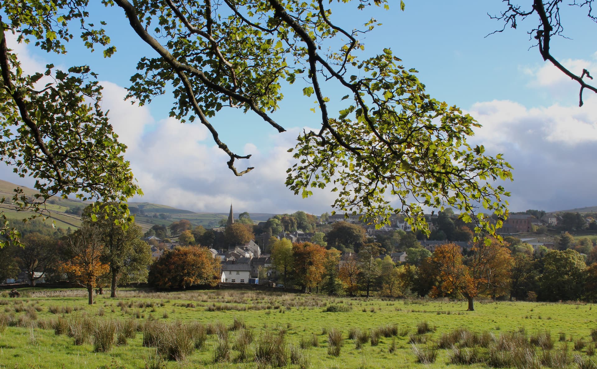 Green field with autumn trees framing a village nestled in rolling green hills