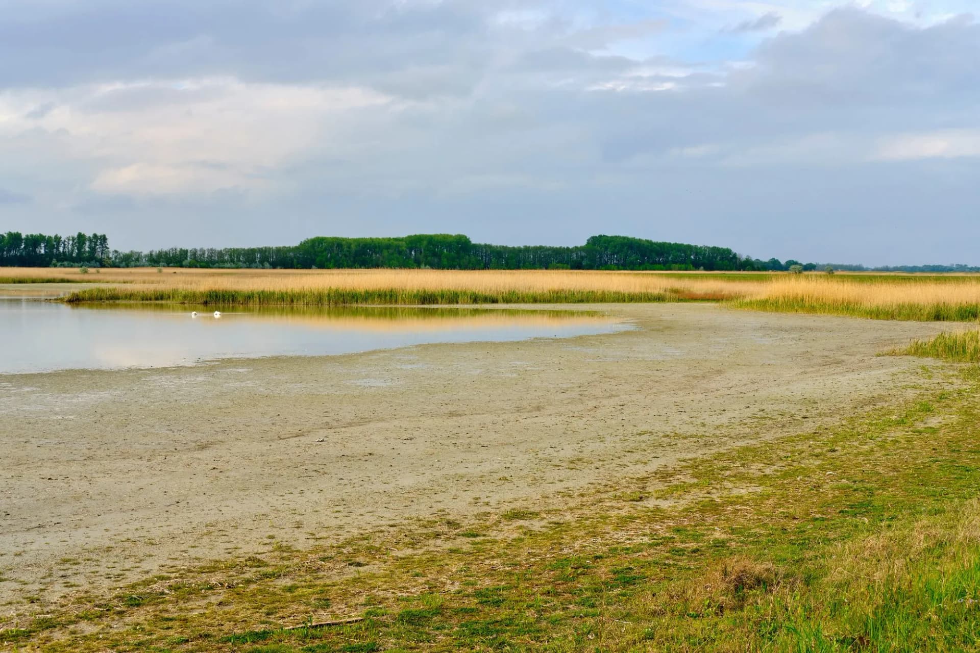 Neusiedler National Park