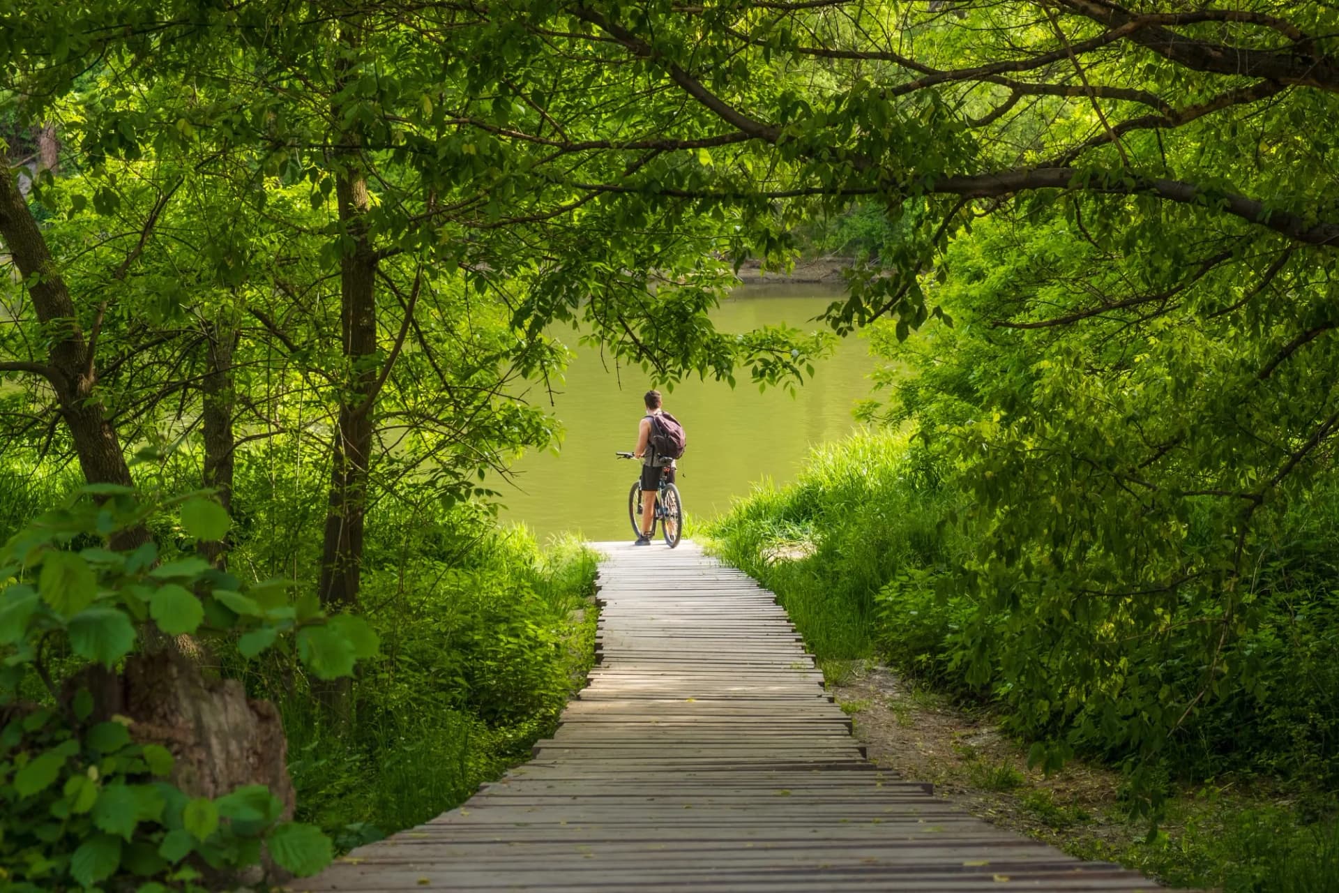 Vienna to budapest cycling