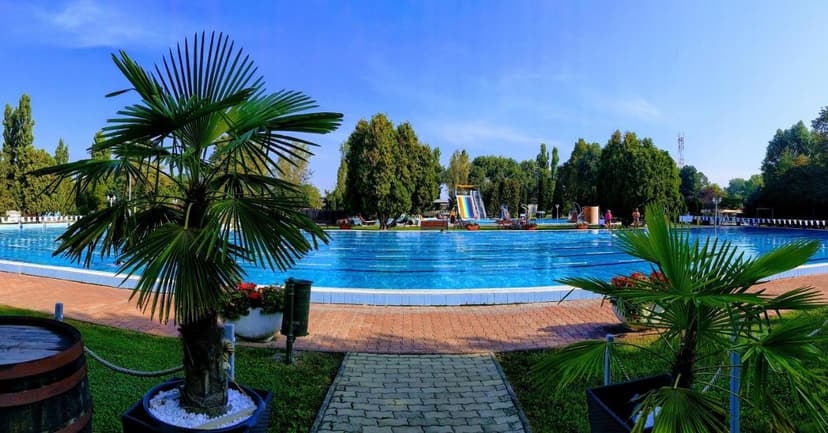 Outdoor swimming pool with palm trees, water slide, and lush green surroundings on a sunny day.