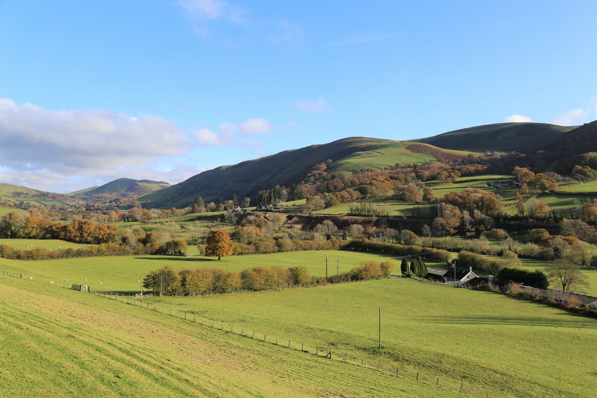 Rolling green hills and autumn trees in the Dyfi Valley under a blue sky with clouds.