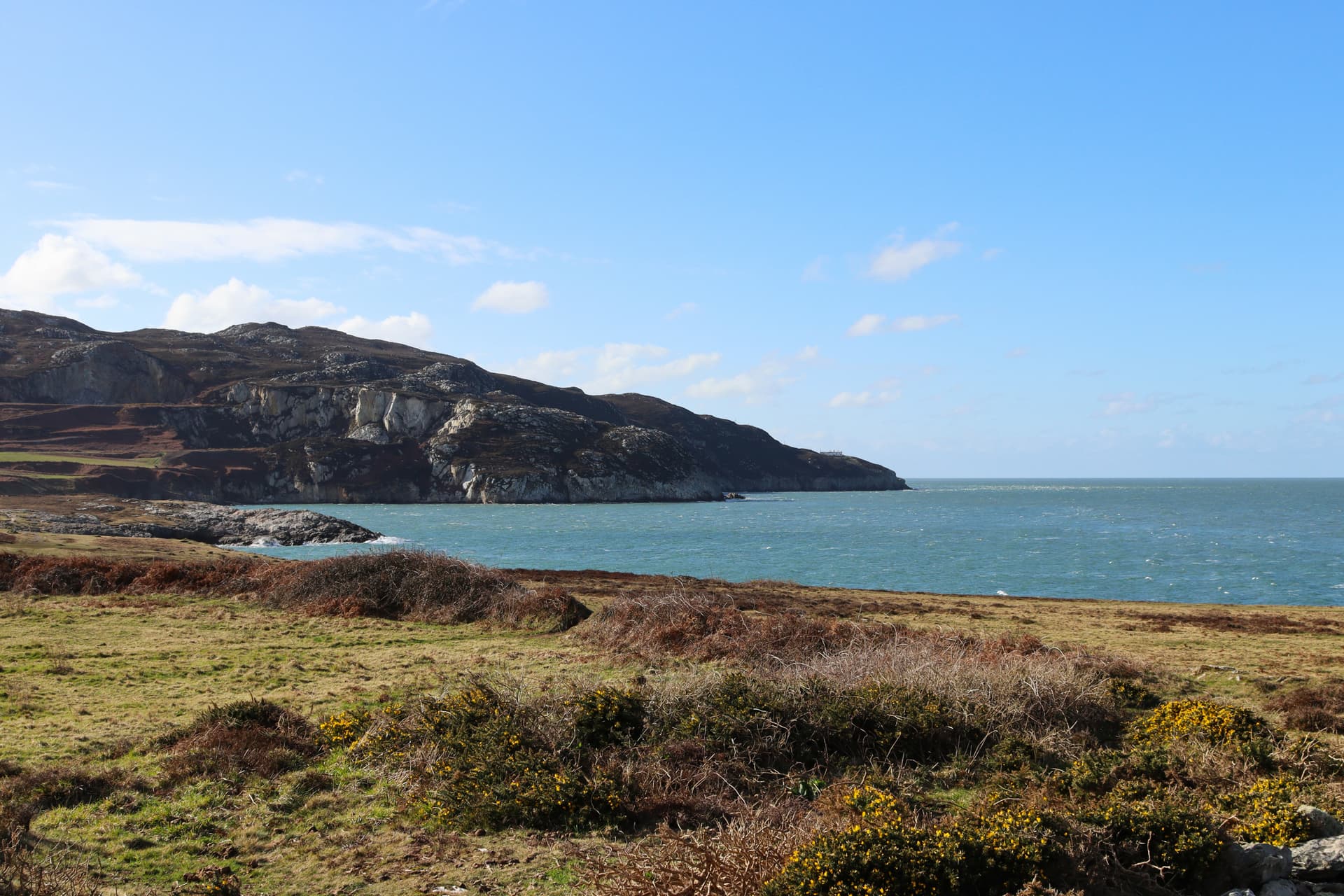 Rocky coastline with scrubland foreground, sea, and dark hills under blue sky near Holyhead.