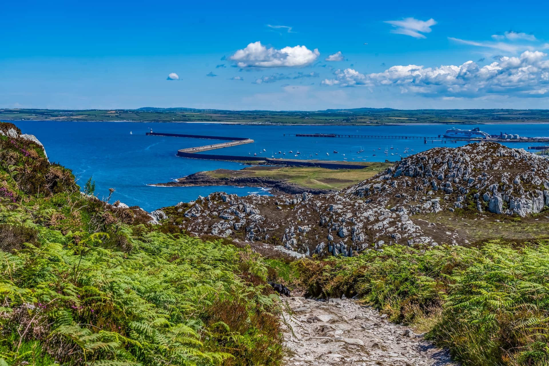 Coastal view from rocky path with ferns overlooking Holyhead harbor and breakwater