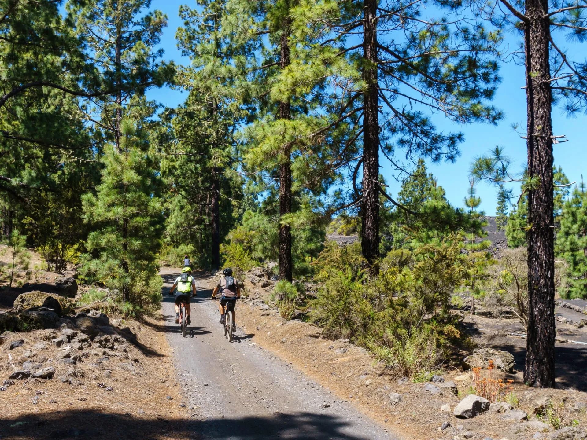 Two men riding mountain bike through volcano in Tenerife