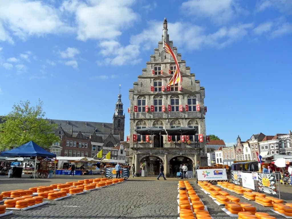 Cheese market with rows of Gouda cheese wheels in front of a historic building.