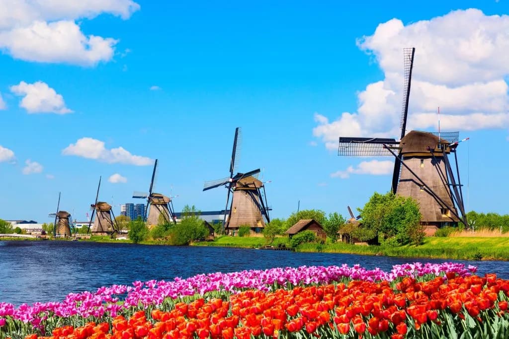 Windmills along the water with vibrant orange and pink tulips in the foreground, Kinderdijk.