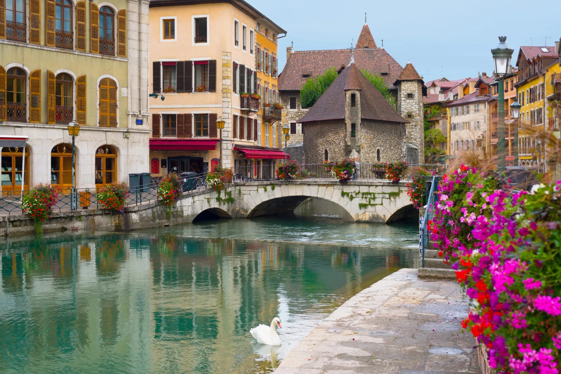 Swan in canal near stone bridge in Annecy with colorful buildings and summer flowers.