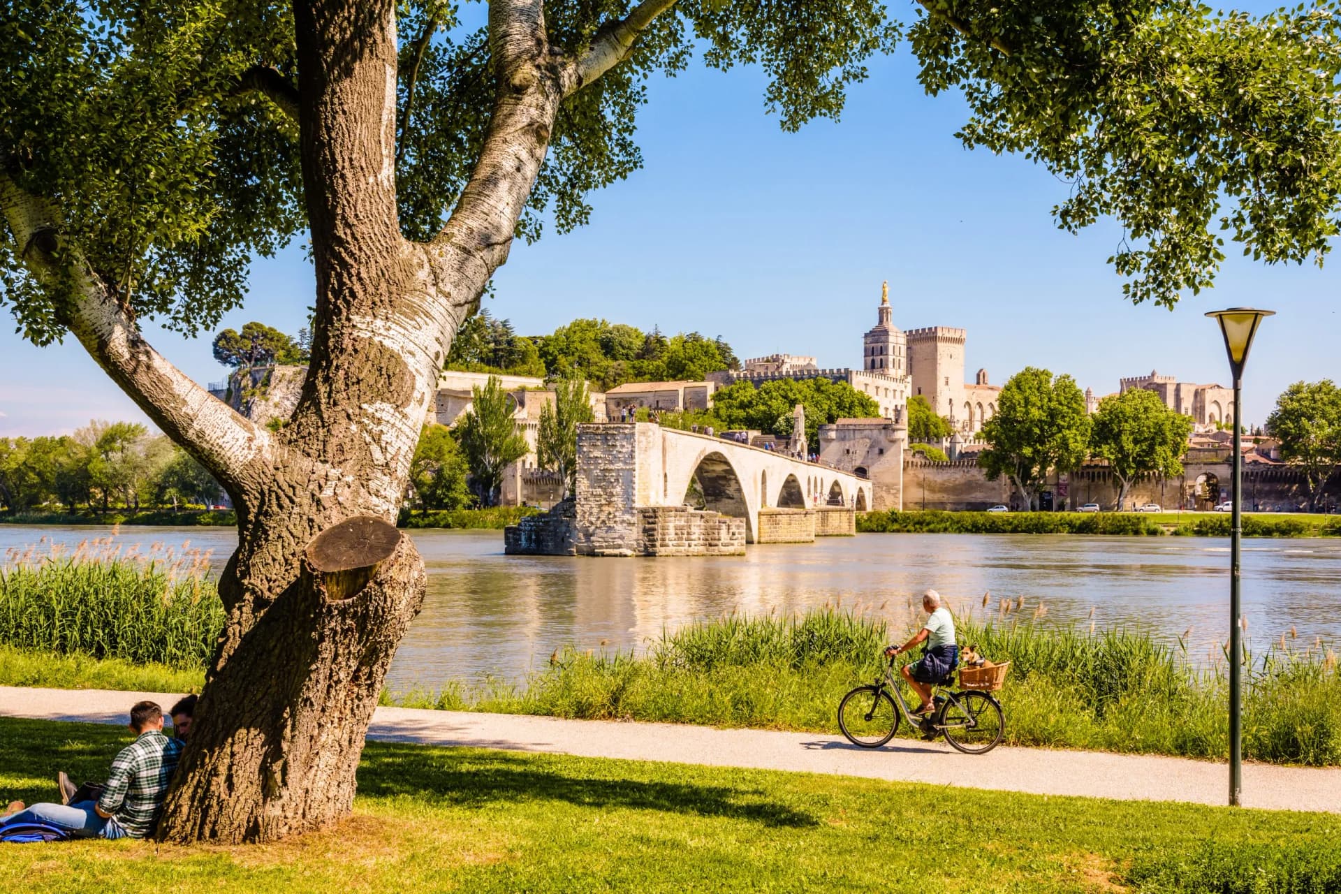 Man biking with dog by Rhone River near Saint-Benezet Bridge, Avignon, France.