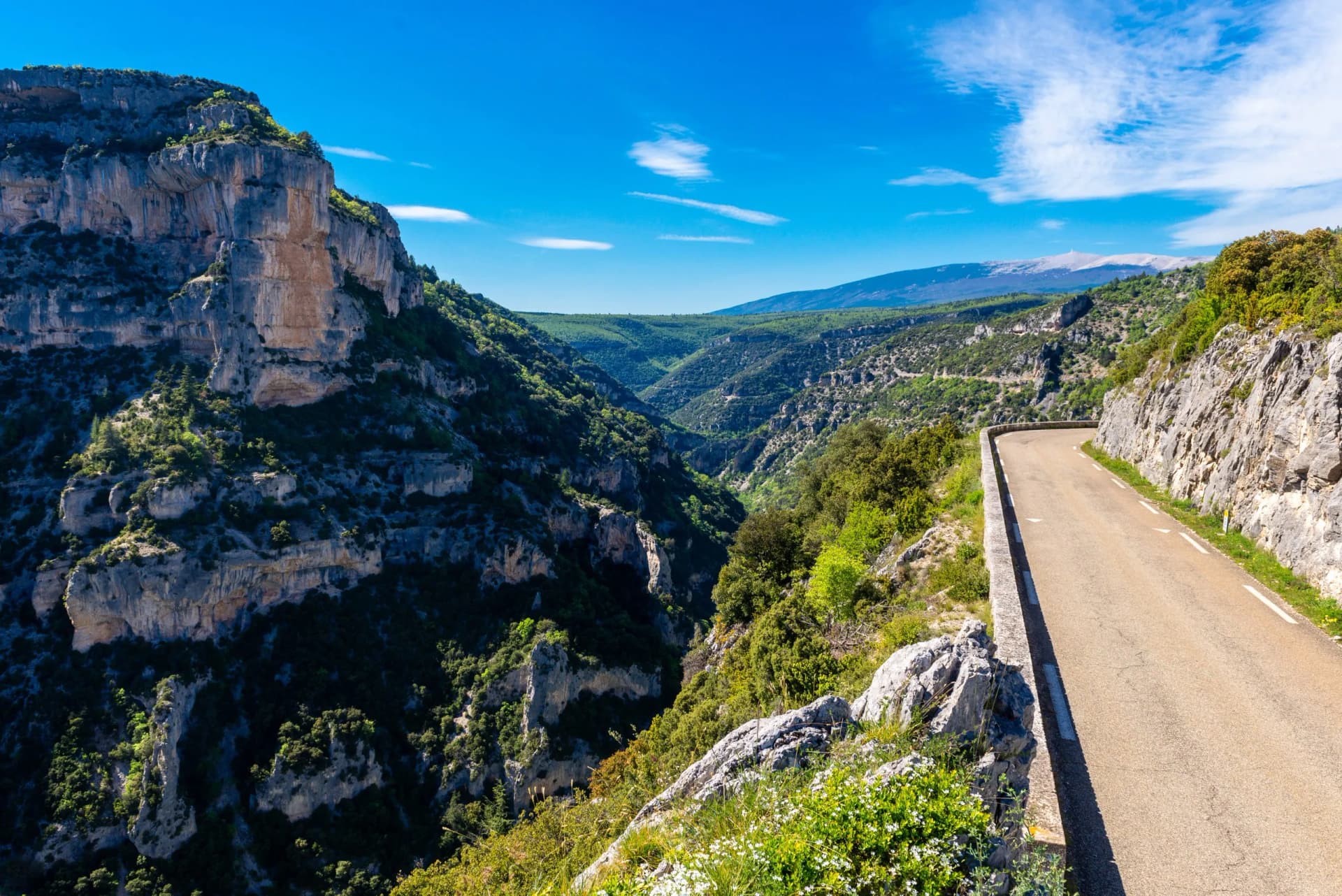 Winding road above Gorges de la Nesque canyon with cliffs and distant Mont Ventoux.